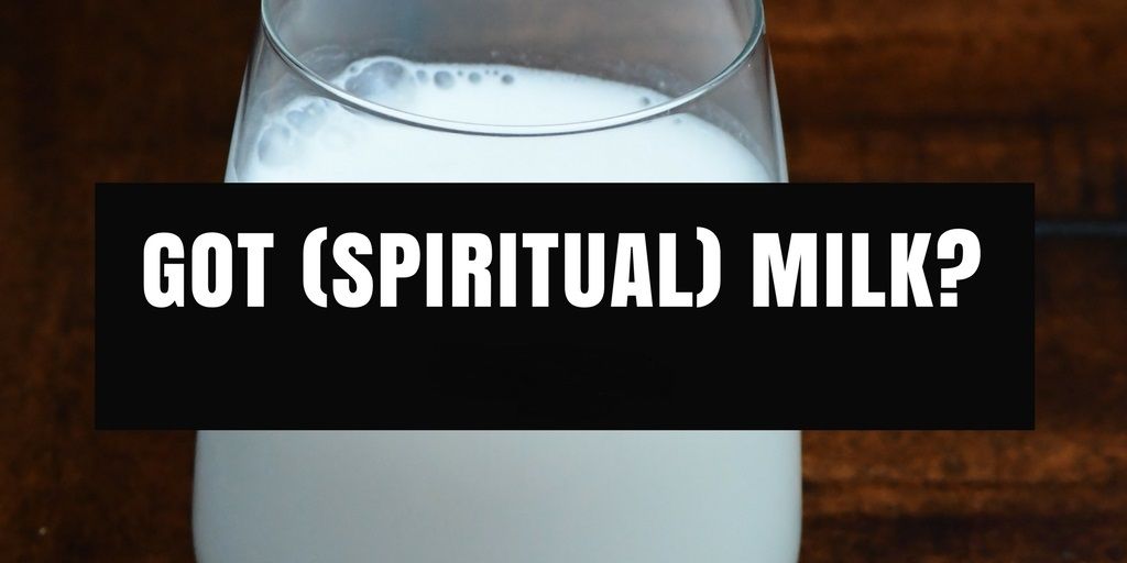 Spiritual Milk, CamelPhat, último álbum, último álbum camelphat